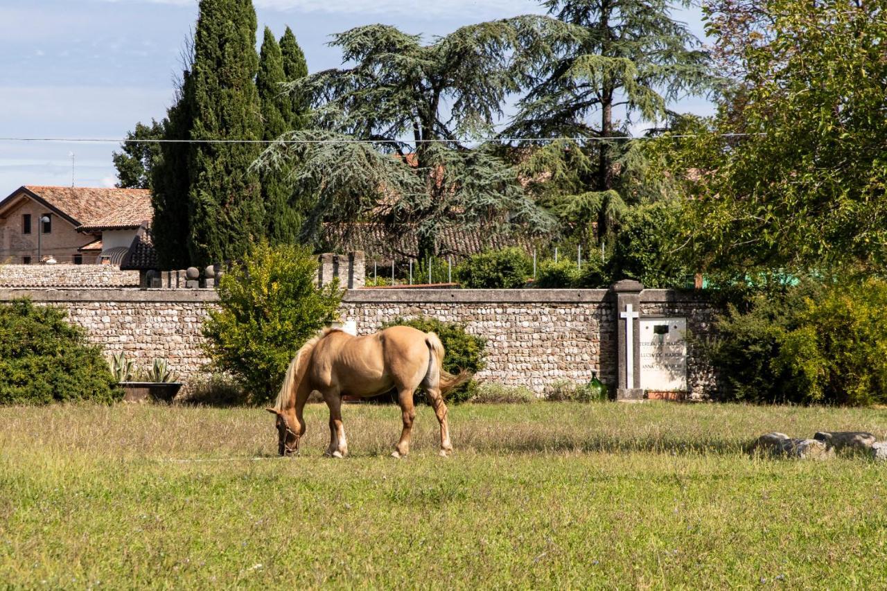 Bed and Breakfast Casa Ariis Clauiano Exteriér fotografie